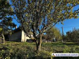 vand-casa-2-camere-teren-5000-mp-in-valea-mare-pravat-namaiesti-arges-10