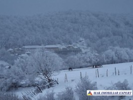 vand-casa-2-camere-teren-5000-mp-in-valea-mare-pravat-namaiesti-arges-16