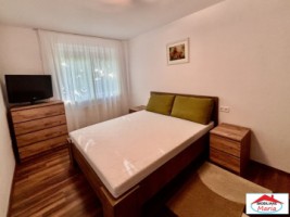 apartament-3-camere-de-inchiriat-zona-mall-str-careiului-4