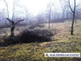 vand-teren-intravilan-3270-mp-centru-campulung-muscel-arges-5