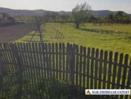 teren-intravilan-2571-mp-de-vanzare-in-aninoasa-8