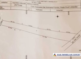teren-intravilan-2571-mp-de-vanzare-in-aninoasa-11