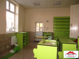 casa-mare-cu-teren-1174-mp-zona-titulescu-6