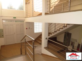 casa-mare-cu-teren-1174-mp-zona-titulescu-3