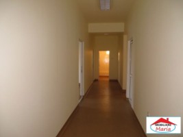 casa-mare-cu-teren-1174-mp-zona-titulescu-11