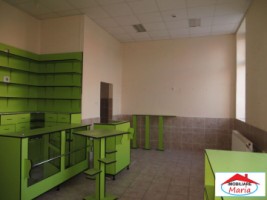 casa-mare-cu-teren-1174-mp-zona-titulescu-13