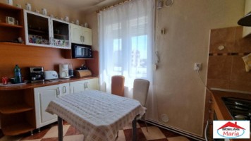 apartament-la-casa-cu-garaj-si-curte-proprie-etaj-1-4