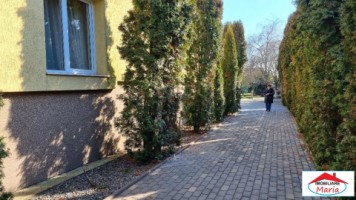 casa-vila-cu-teren-1445-ari-paulesti-id-22659-3