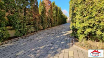 casa-vila-cu-teren-1445-ari-paulesti-id-22659-17