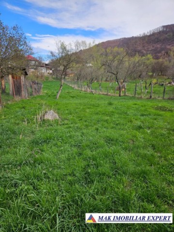 vand-teren-644-mp-intravilan-sboghitesti-nucsoara-arges-2