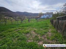 vand-teren-644-mp-intravilan-sboghitesti-nucsoara-arges