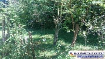 de-vanzare-padure-1500-mp-in-valea-barbusii-campulung-muscel-arges