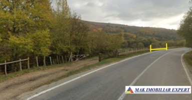 de-vanzare-teren-2500-mp-extravilan-in-suslanesti-mioarele-arges