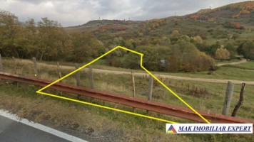 de-vanzare-teren-2500-mp-extravilan-in-suslanesti-mioarele-arges-4