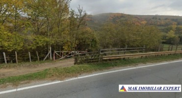 de-vanzare-teren-2500-mp-extravilan-in-suslanesti-mioarele-arges-1