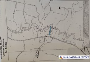 de-vanzare-teren-2500-mp-extravilan-in-suslanesti-mioarele-arges-10