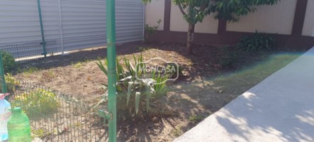 casa-zona-imparat-traian-ocazii-saveni-teren-282-mp-8
