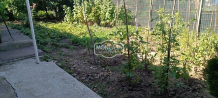 casa-zona-imparat-traian-ocazii-saveni-teren-282-mp-10
