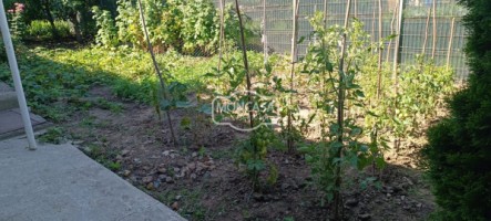 casa-zona-imparat-traian-ocazii-saveni-teren-282-mp-17