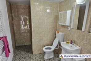 casa-3-camere-cu-teren-3270-mp-de-vanzare-in-valea-barbusii-campulung-muscel-arges-6