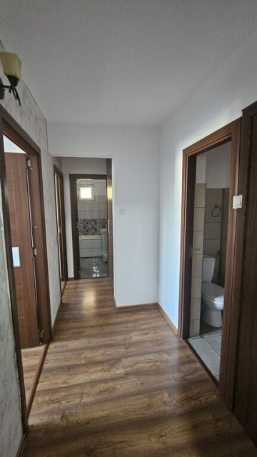 malu-rosu-3cam2bai-cf1a-dec-28-renovat-98000-euro-13