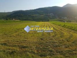 okazie-teren-intravilan-imprejmuit-2560-mp-cu-deschidere-29-m-santimbru-galtiu-central-toate-utilitatiile-in-fata-drum-asfaltat-2