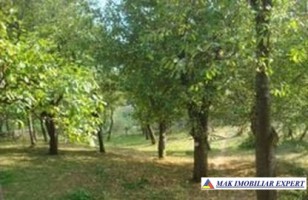 teren-intravilan-620-mp-in-comuna-bradulet-galesu-arges