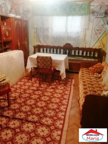 casa-cu-etaj-si-teren-28-arii-in-solduba-2