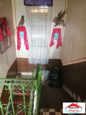 casa-cu-etaj-si-teren-28-arii-in-solduba-4