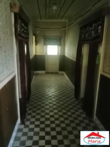 casa-cu-etaj-si-teren-28-arii-in-solduba-5