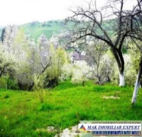 vand-teren-1007-mp-intravilan-valea-romanestilor-campung-muscel-arges