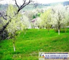 vand-teren-1007-mp-intravilan-valea-romanestilor-campung-muscel-arges-1