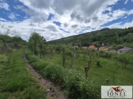 teren-intravilan-de-vanzare-in-metes-ampoita