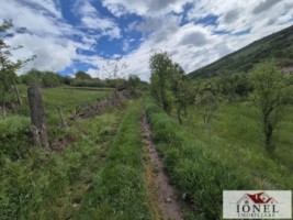 teren-intravilan-de-vanzare-in-metes-ampoita-2