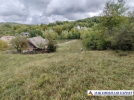 teren-3979-mp-intraextravilan-de-vanzare-in-valea-romanestilor-campulung-muscel-arges
