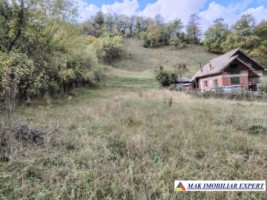 teren-3979-mp-intraextravilan-de-vanzare-in-valea-romanestilor-campulung-muscel-arges-1