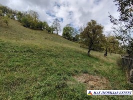teren-3979-mp-intraextravilan-de-vanzare-in-valea-romanestilor-campulung-muscel-arges-2