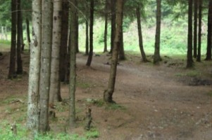 vand-teren-la-munte-4005-mp-extravilan-cabana-voina-leresti-arges-2