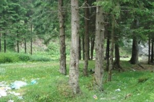 vand-teren-la-munte-4005-mp-extravilan-cabana-voina-leresti-arges-3