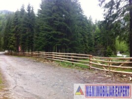 vand-teren-la-munte-4005-mp-extravilan-cabana-voina-leresti-arges-10