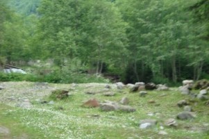 vand-teren-la-munte-4005-mp-extravilan-cabana-voina-leresti-arges-7