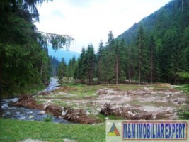 vand-teren-la-munte-4005-mp-extravilan-cabana-voina-leresti-arges-8