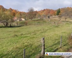 teren-1600-mp-intravilan-de-vanzare-in-albestii-de-muscel-arges-2