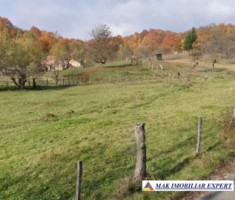 teren-1600-mp-intravilan-de-vanzare-in-albestii-de-muscel-arges