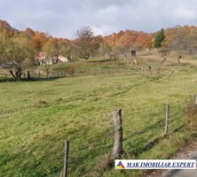 teren-1600-mp-intravilan-de-vanzare-in-albestii-de-muscel-arges-3