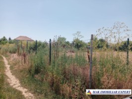 vand-teren-1000-euro-intravilan-in-tinganu-mic-linga-cernica-ilfov-5