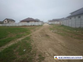 teren-intravilan-1129-mp-de-vanzare-in-clinceni-olteni-ilfov-perfect-pentru-constructii-rezidentiale