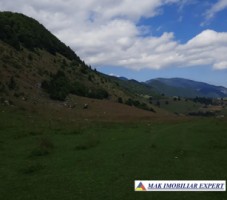 vand-loturi-de-teren-la-munte-42-ha-in-dambovicioara-ciocanu-satic-arges-si-predelut-fundata-brasov