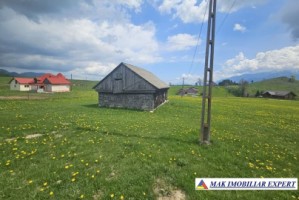 teren-6600-mp-extravilan-sirnea-brasov-ciocanu-dambovicioara-arges-1
