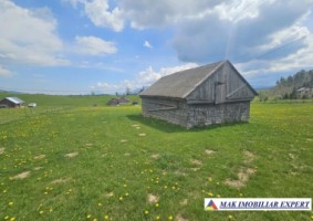 teren-6600-mp-extravilan-sirnea-brasov-ciocanu-dambovicioara-arges